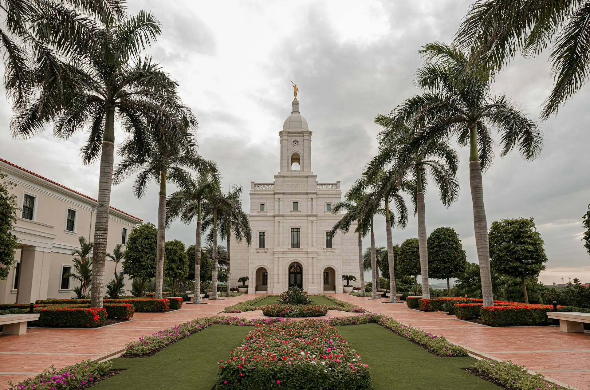 a white building with palm trees
